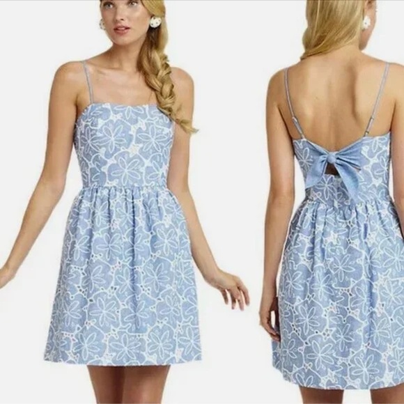 Lilly Pulitzer Bethany Tide Blue Hollar For A Dollar Chambray Eyelet Dress 4 - Picture 1 of 5